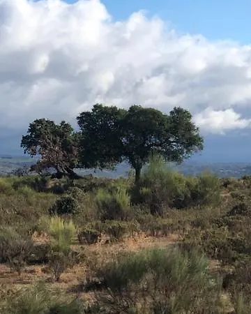 3 Marias Da Retirada Lousa (Castelo Branco)